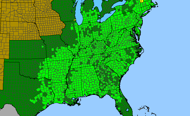 The range of Nyssa sylvatica